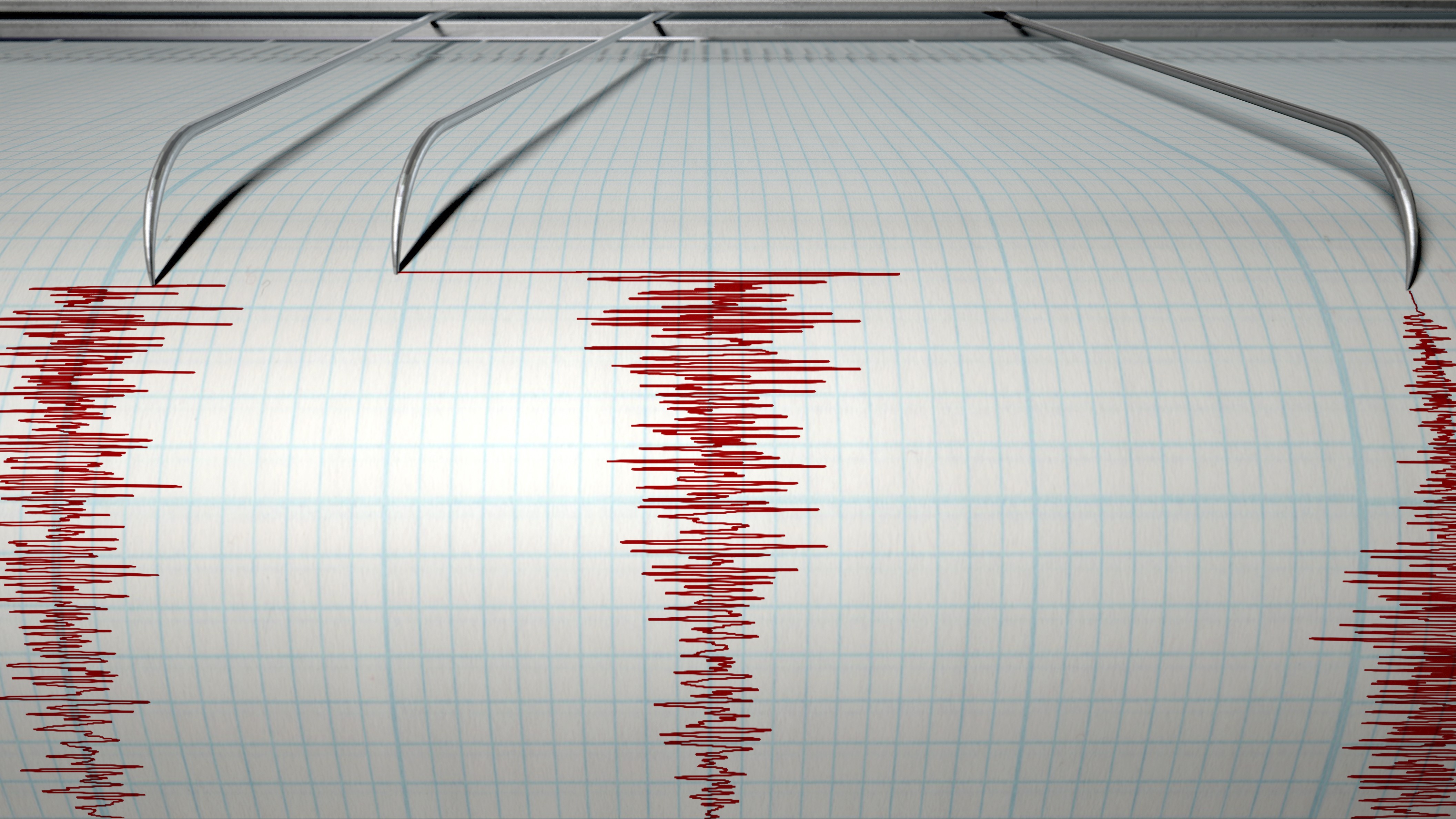 Three strong, shallow quakes but no tsunami off B.C. coast