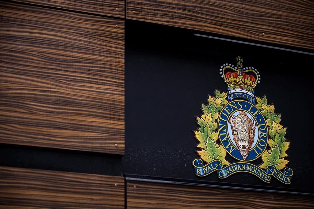 1 Arrested, No Injuries After RCMP Respond Newfoundland Active Shooter ...