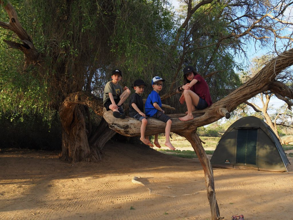 Lemay-Pelletier family