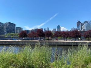 Lachine Canal 