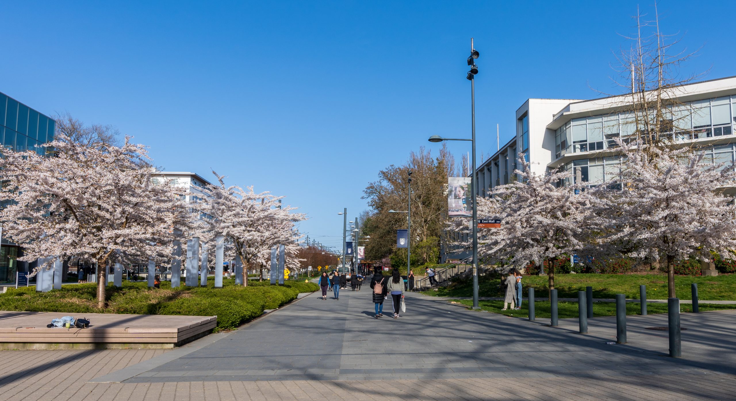 Canada Student Loans Grants Increased CityNews Montreal   IStock 1363715098 Scaled 