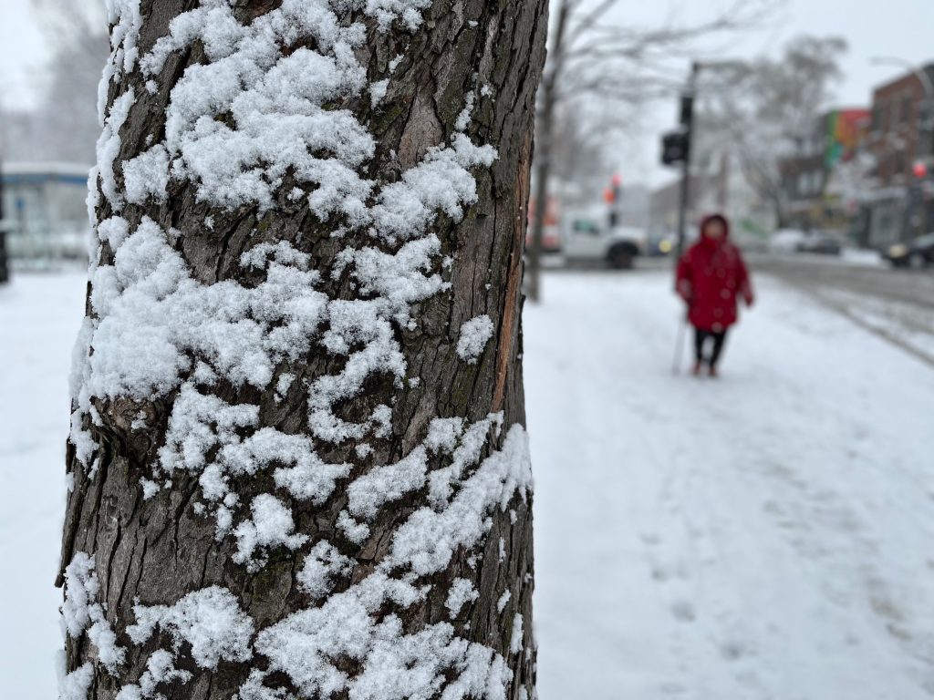 Montreal first snow winter soon Nov 16 2022