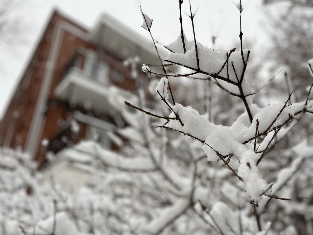 Montreal first snow winter soon Nov 16 2022