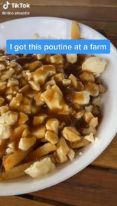 poutine-Niko