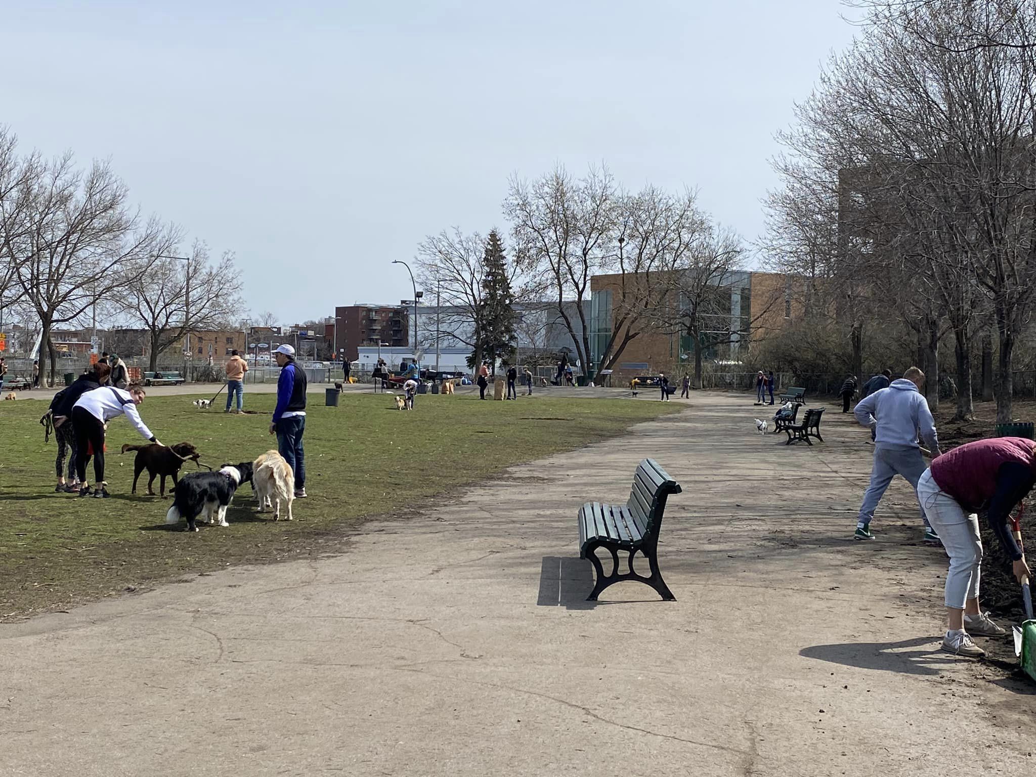 Parque para perros Montreal Outremont