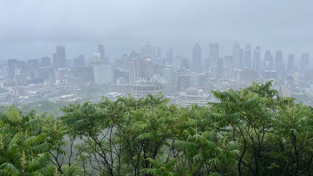 Montreal covered with smog from forest fires burning in the province on June 29, 2023. View from Mount Royal, amid the rain. (CREDIT: Martin Daigle, CityNews Image)
