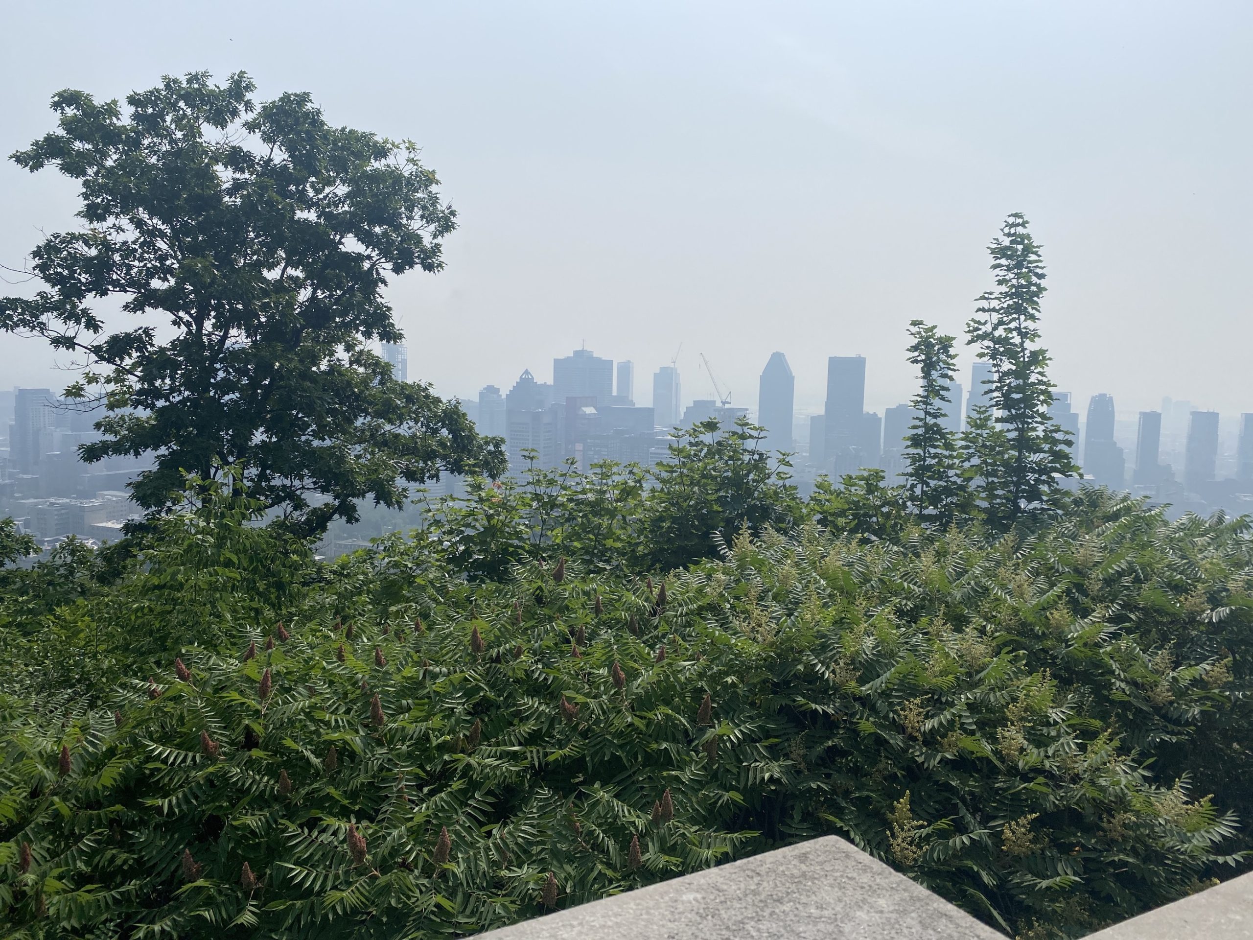 Montreal cubierta de smog por los incendios forestales que ardían en la provincia el 30 de junio de 2023. Vista desde Mount Royal.  (CRÉDITO: Alyssia Rubertucci, imagen de CityNews)