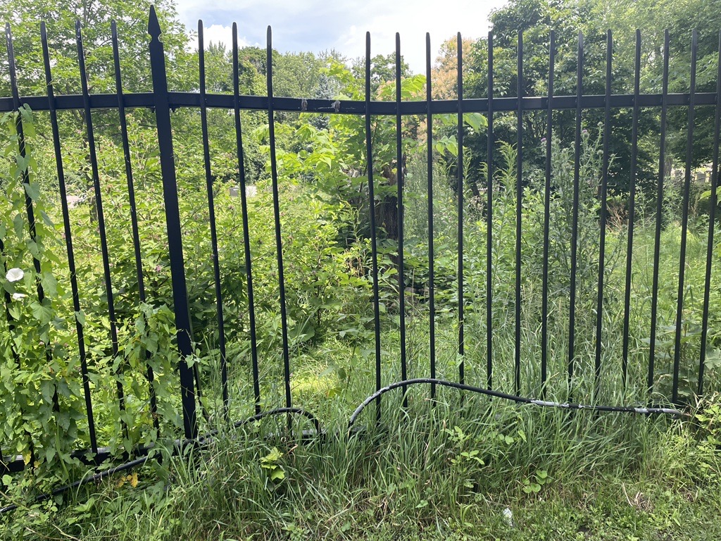 Broken gates of Montreal’s Notre-Dame-des-Neiges cemetery. (Felisha Adam, CityNews, Image)