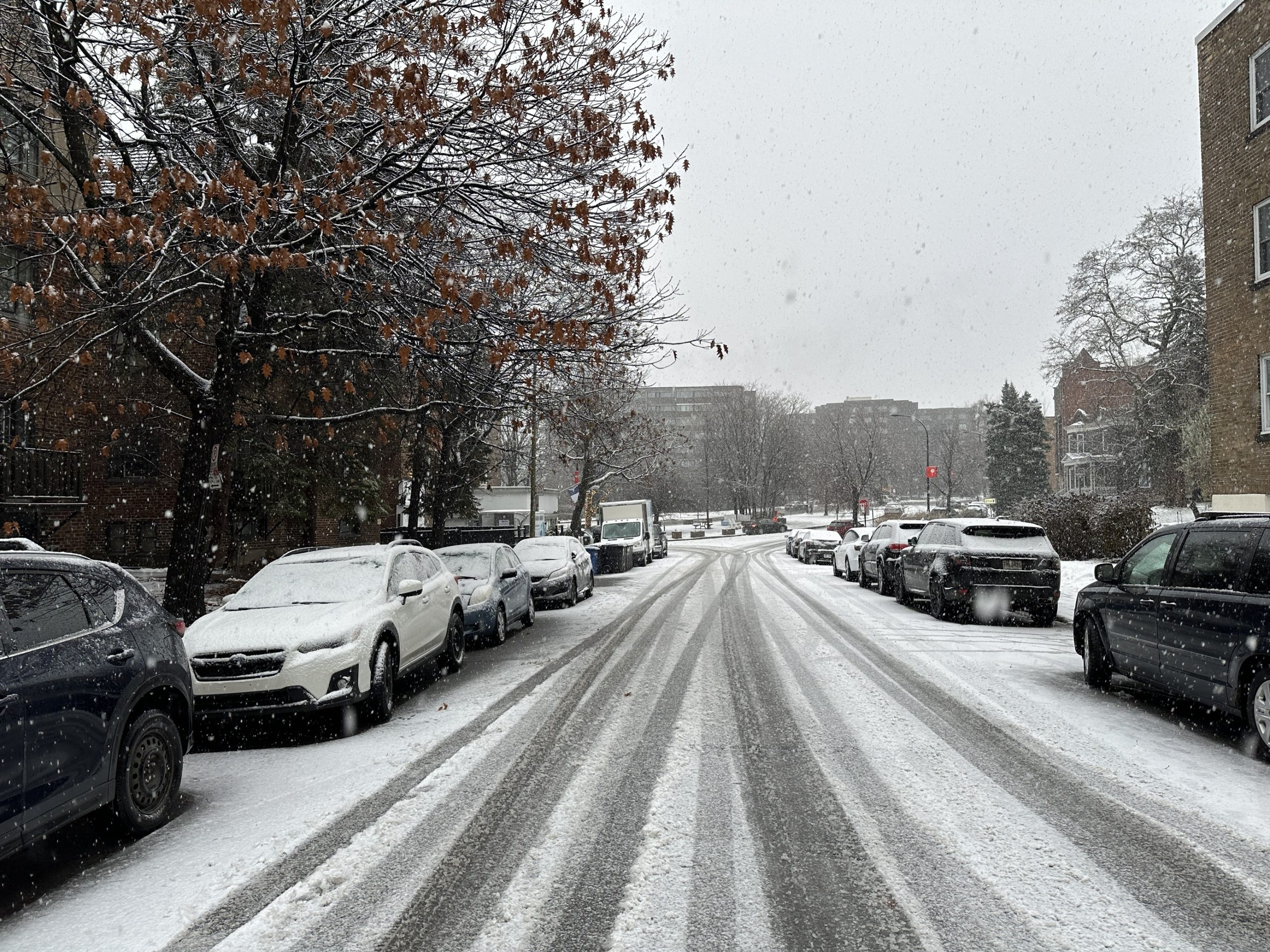 More snowfall in Montreal, mix of winter weather knocks power out for