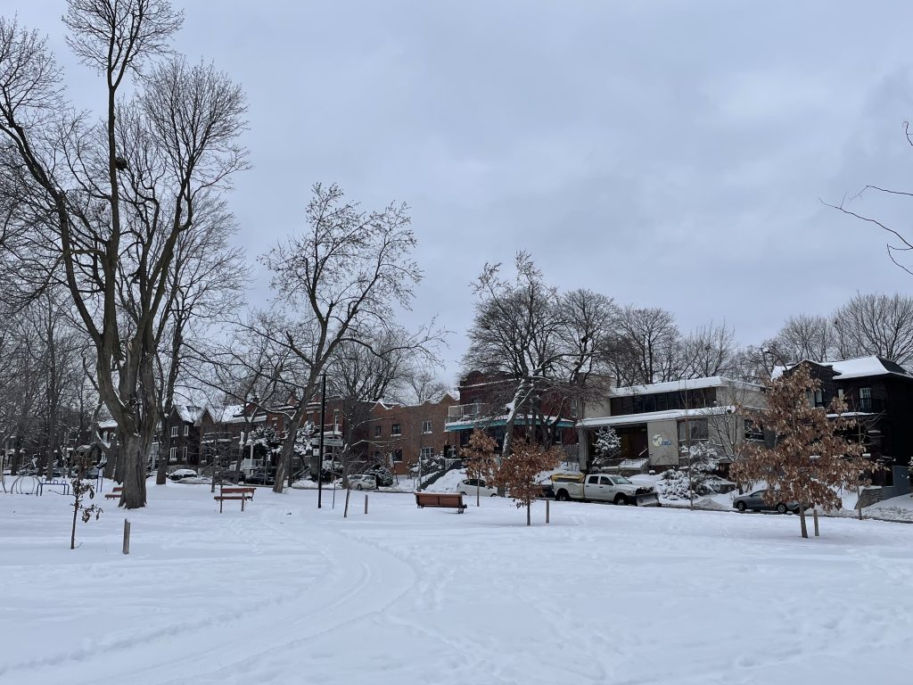 Snow in NDG Montreal