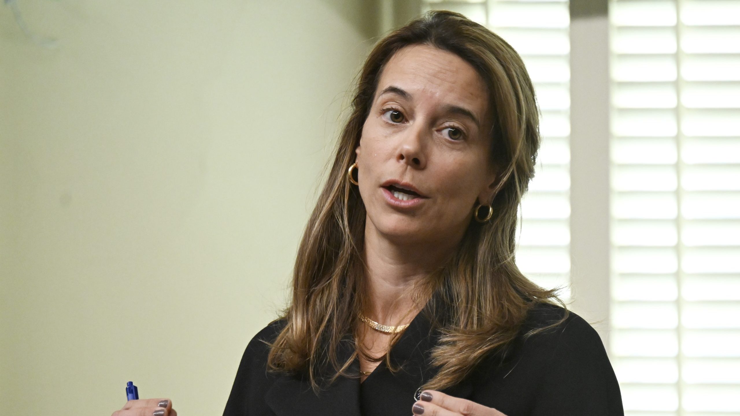 Quebec housing minister tables bill to restrict evictions for 3 years