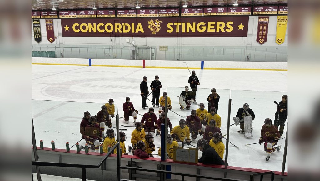 Concordia Stingers take on Toronto in U Sports women's hockey championship