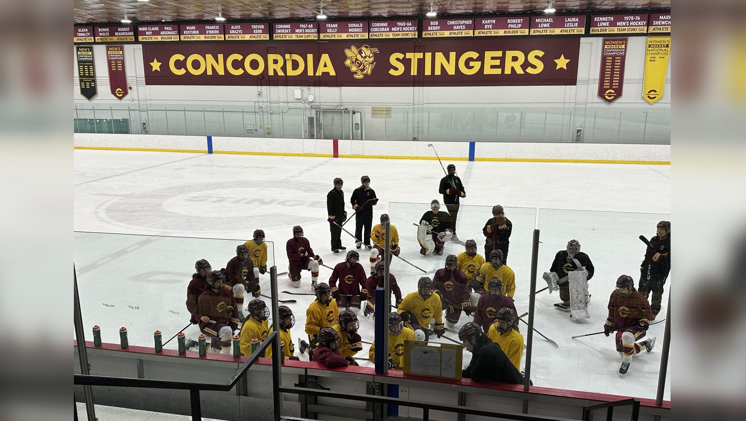 Concordia Stingers take on Toronto in U Sports women’s hockey championship