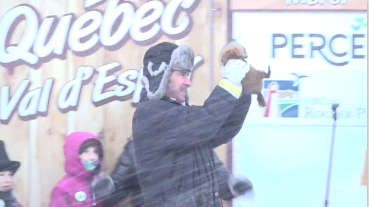 The Quebec official groundhog Fred is seen held up while it snows