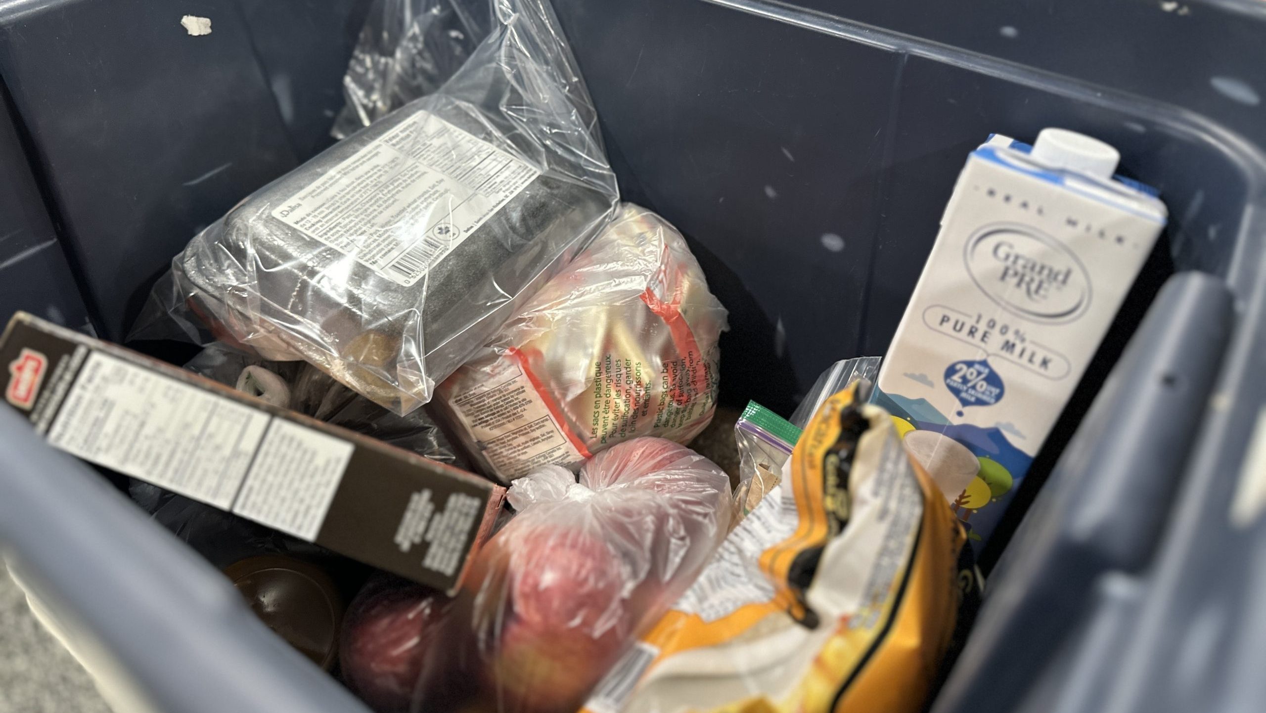 Food Insecurity Among Immigrants: New Study Challenges Common Assumptions About Diet Quality