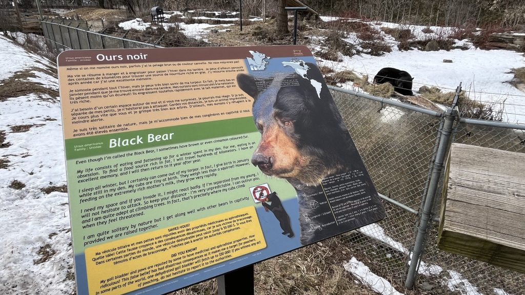 A black bear exhibit sign is seen at the Ecomuseum
