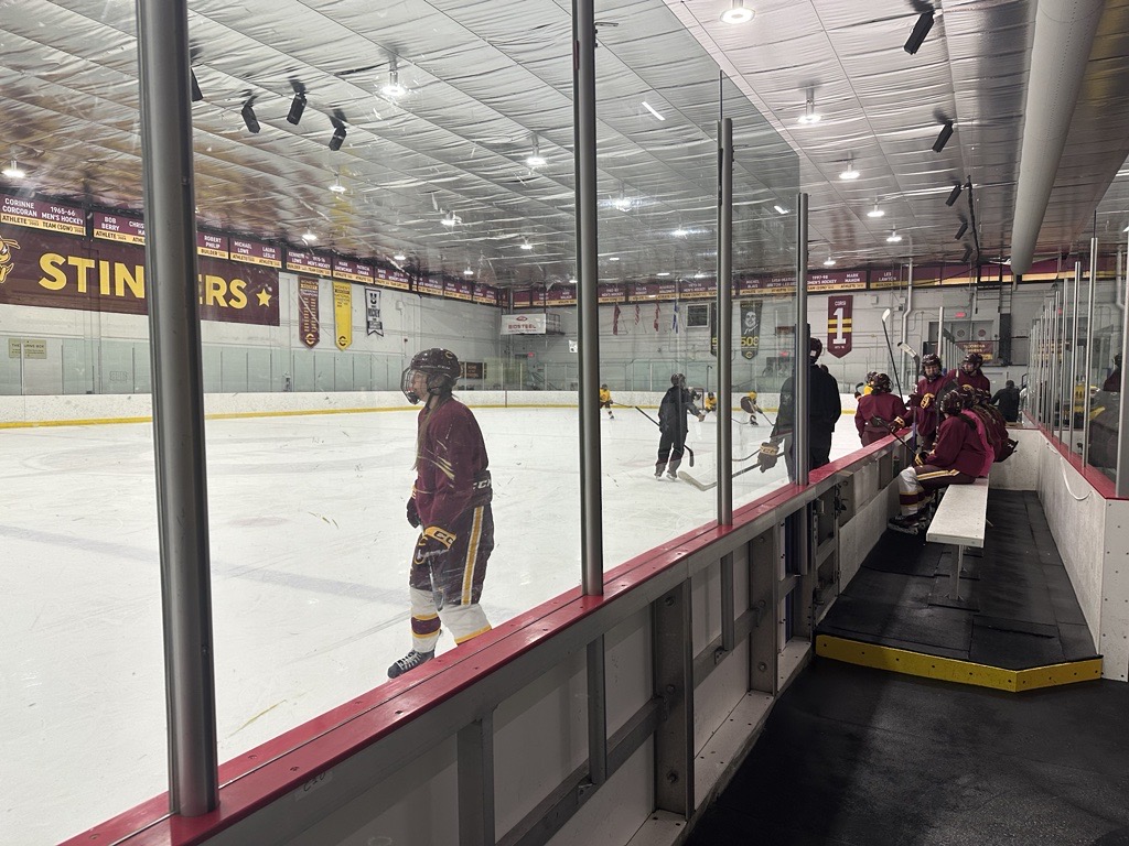 Concordia Stingers hockey hockey players are seen at the Ed Meagher Arena