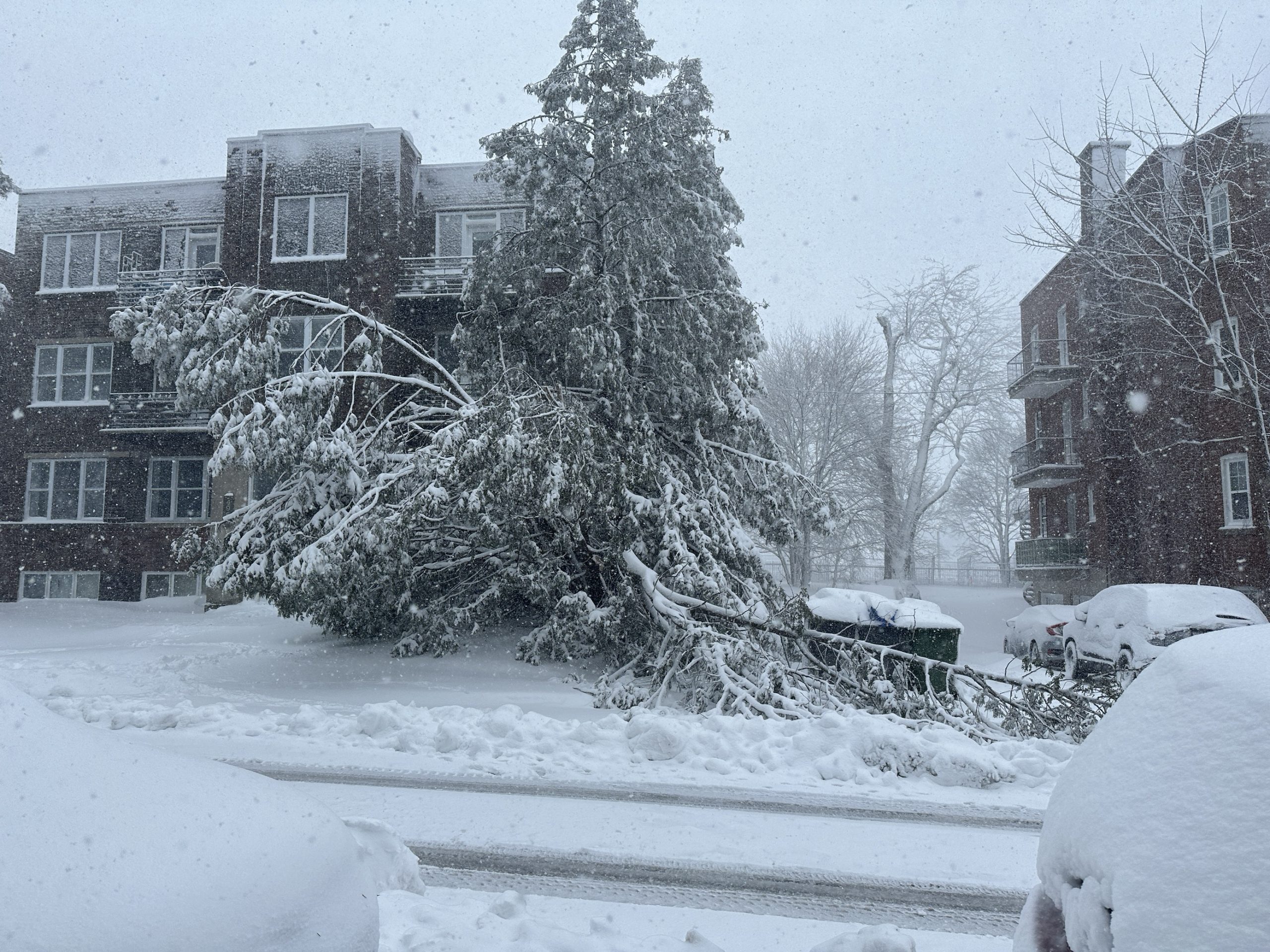 Spring snowstorm leaves over 135,000 Quebecers without power, closes schools across the province