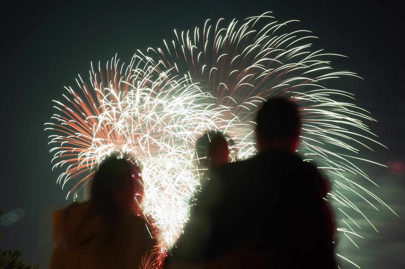 Canada Day Fireworks 2024 Vancouver Birdie Kessia