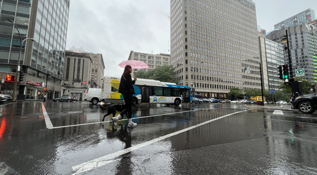 A woman walks her dog in the rain