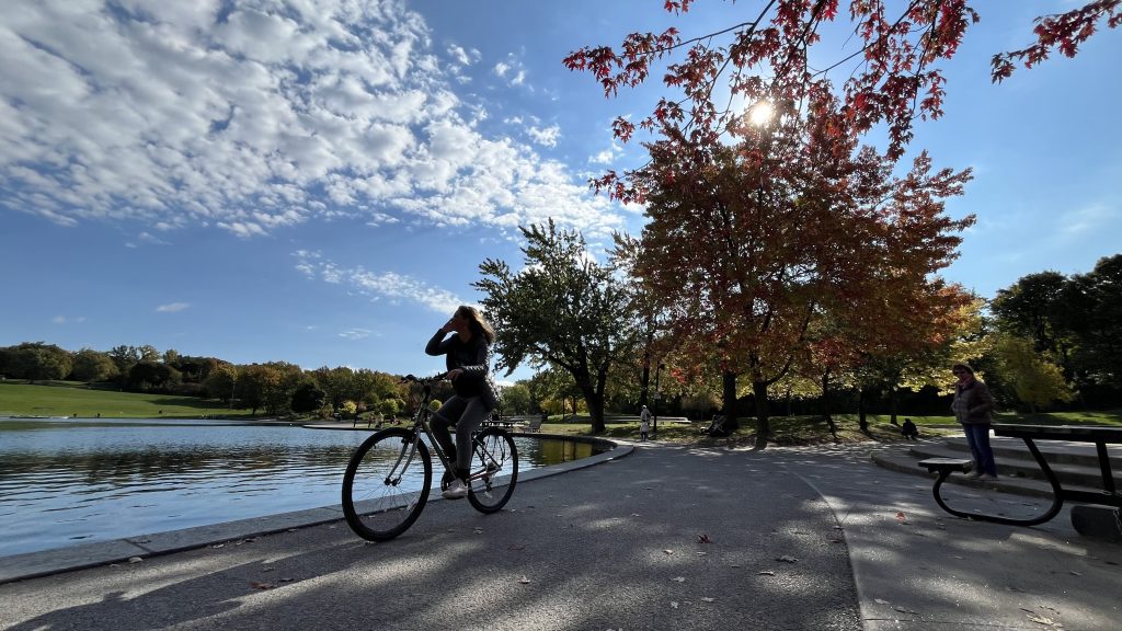 Montreal's Thanksgiving forecast, something to be grateful for this