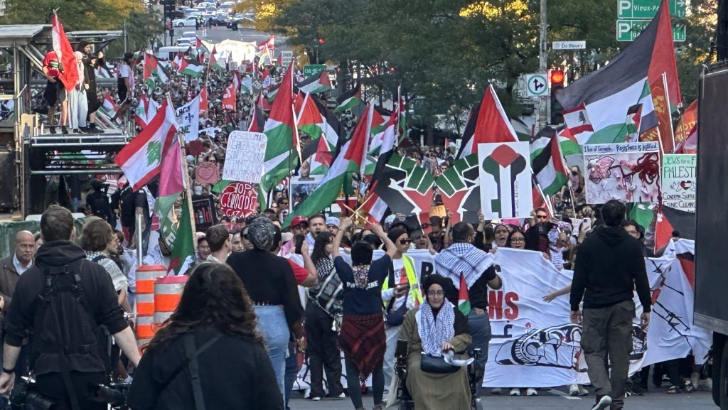 Pro-Palestinian rally