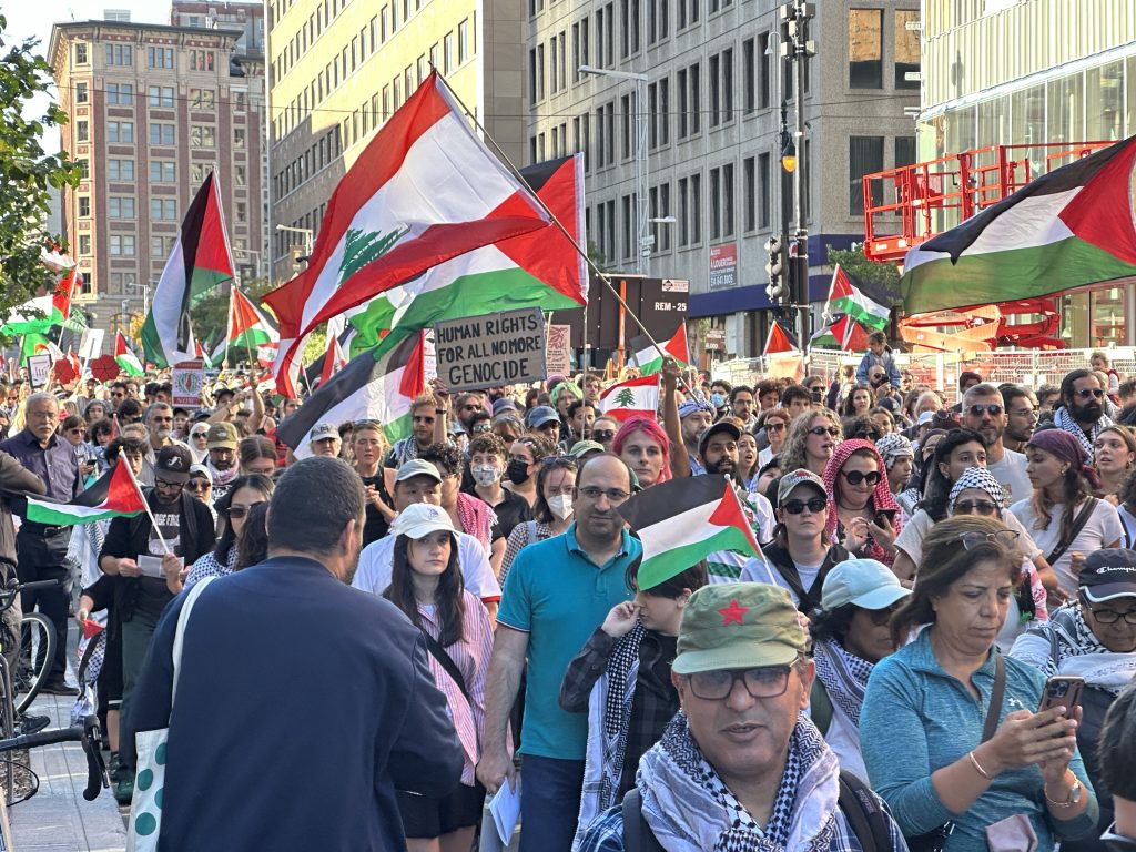 Pro-Palestinian rally, lebanon flag waves