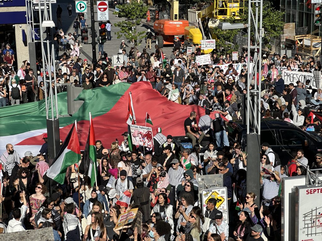 Pro-Palestinian rally