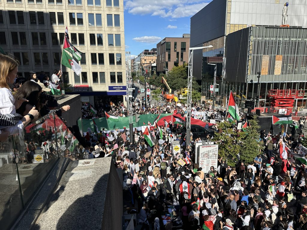 Pro-Palestinian rally