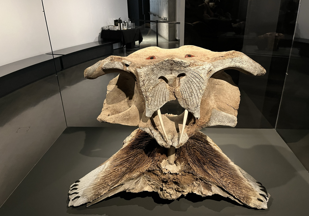 'Inuit Universe' exhibit at McCord Stewart Museum