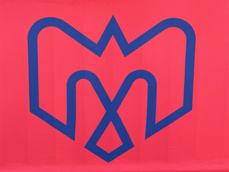 Montreal Alouettes logo. (Pamela Pagano,CityNews)