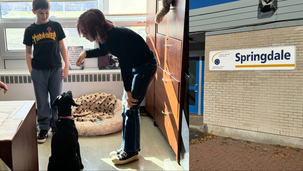 Dog boosts students' mental health at Dollard-des-Ormeaux elementary school