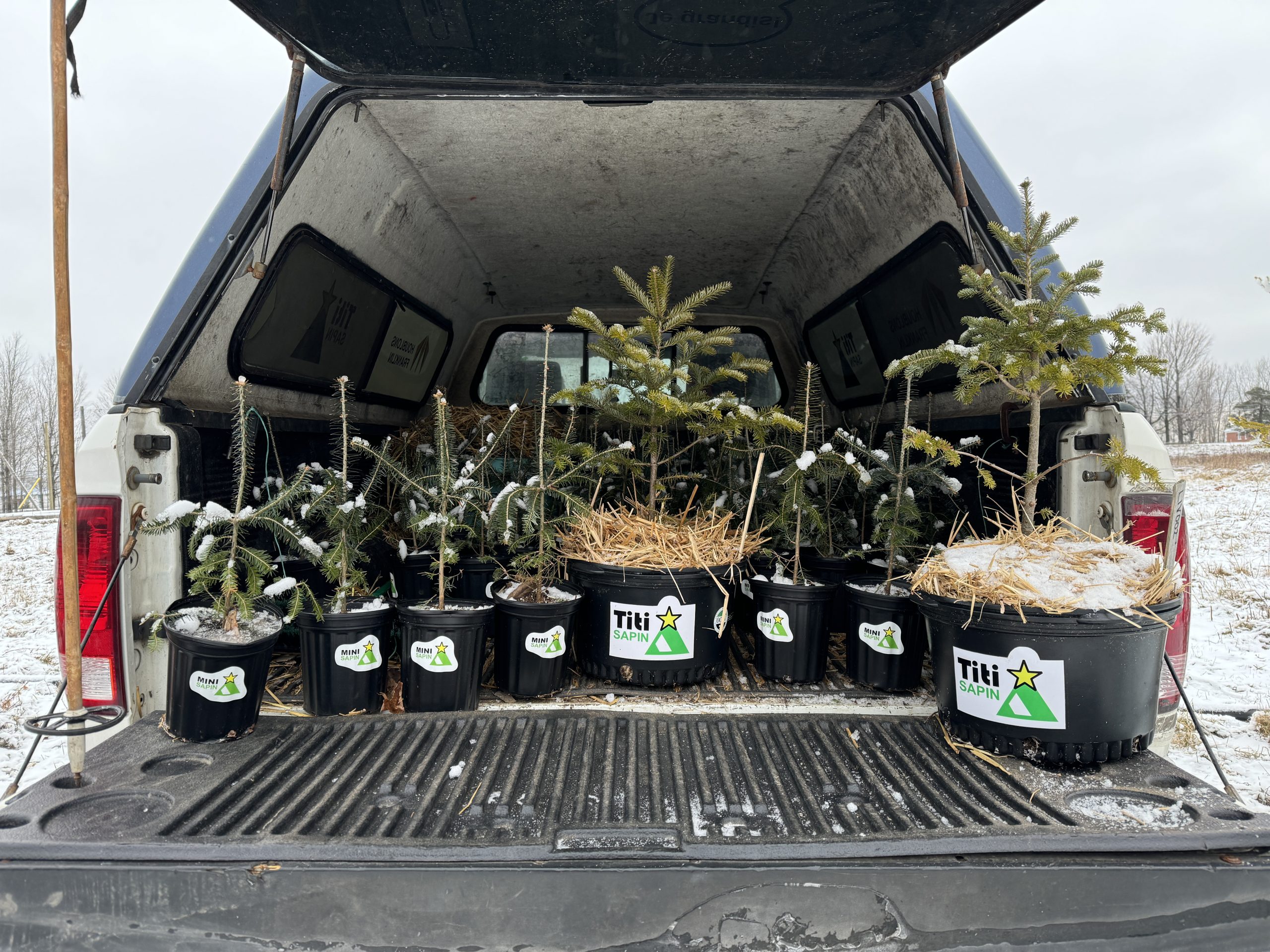 Father-son eco-friendly Tiny Tree project back this holiday season
