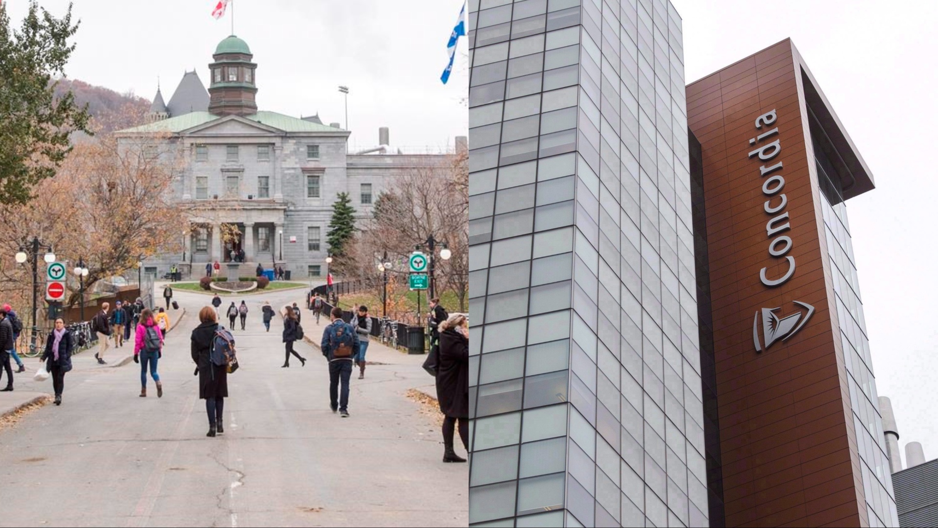 Would Quebec’s proposal to introduce more French courses in English universities hurt McGill, Concordia?