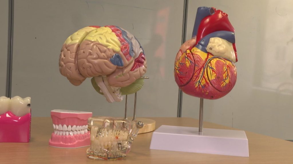 One of Canada’s leading alternative health experts Bryce Wylde says clinical evidence shows a connection between gum, heart, and brain health