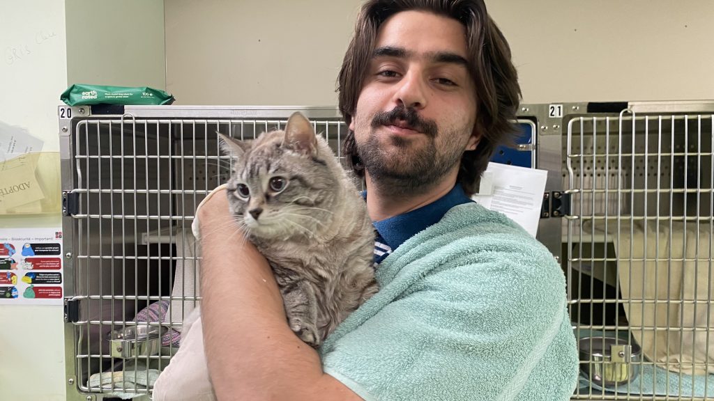 SPCA