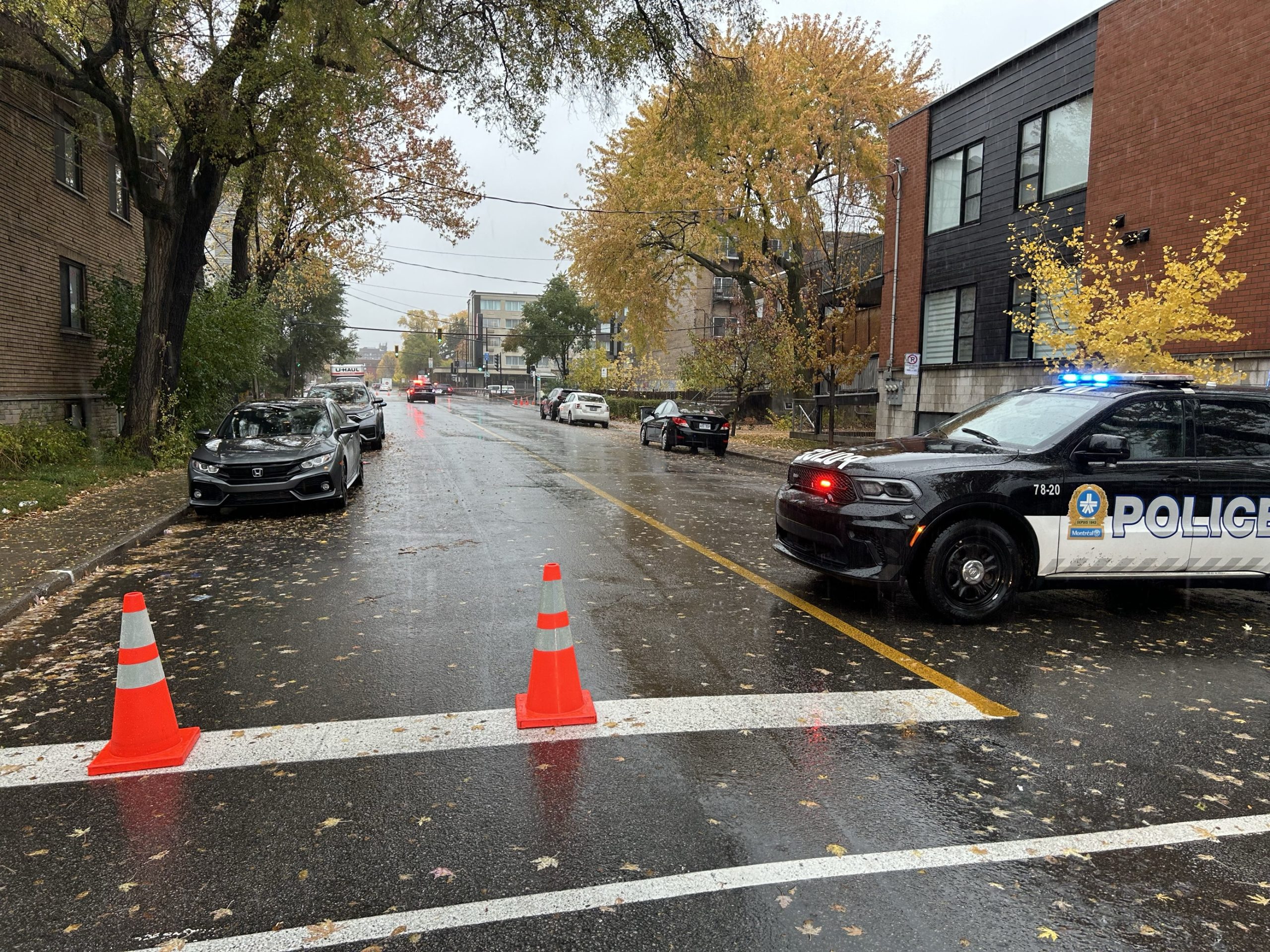 Pedestrian fatally struck by alleged drunk driver in Montreal ...