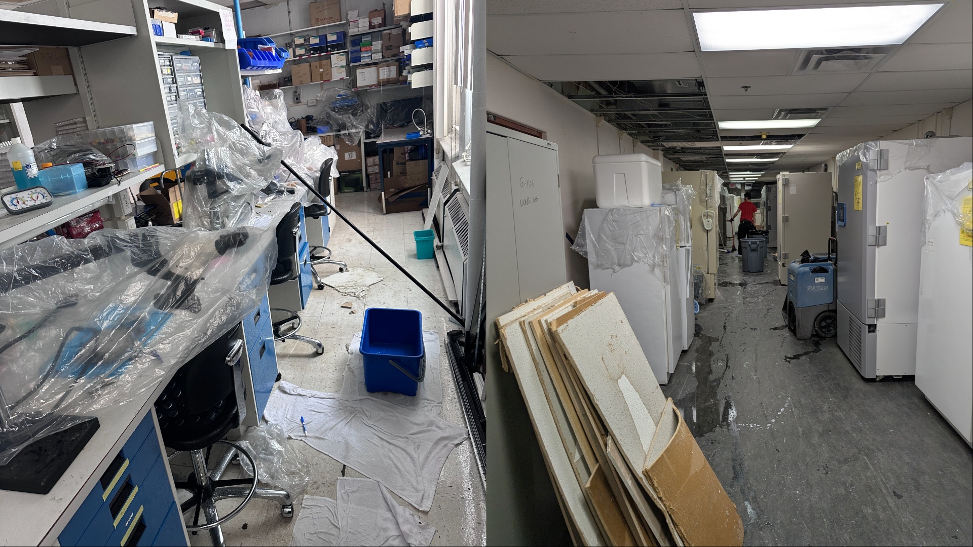 Burst pipes flood Montreal’s Douglas Hospital labs, destroying years of research