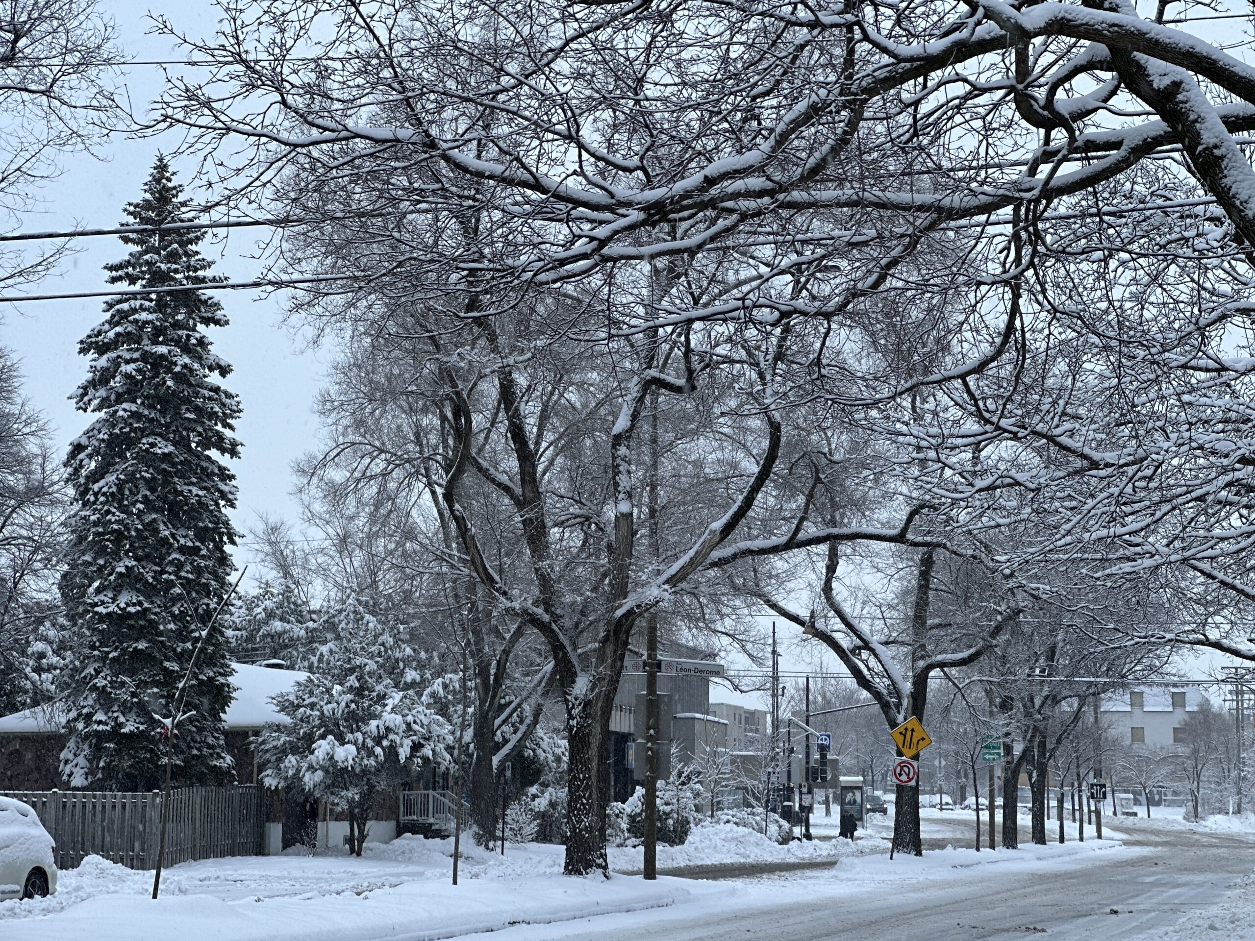Snow and gusty winds hit Montreal; more flurries expected Sunday