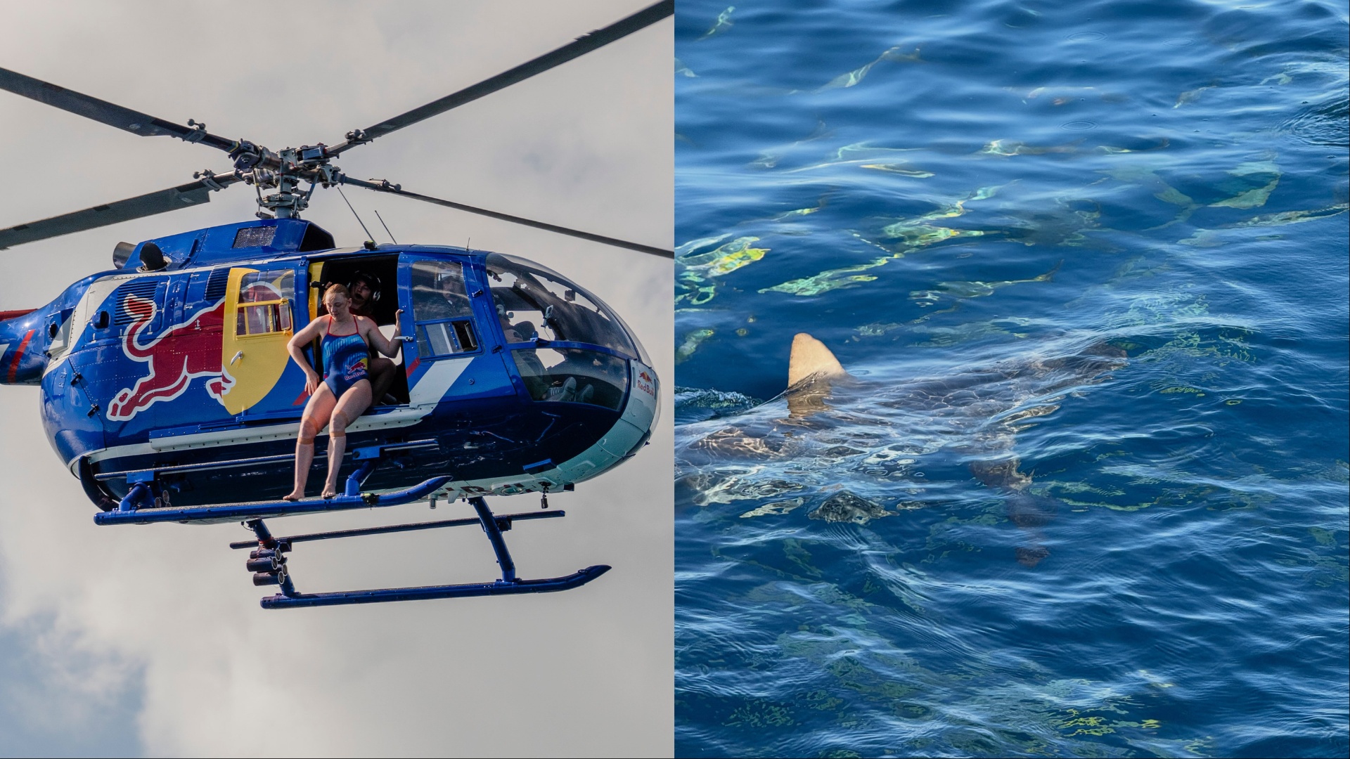 After shark plunge, Montreal diver training for new challenge